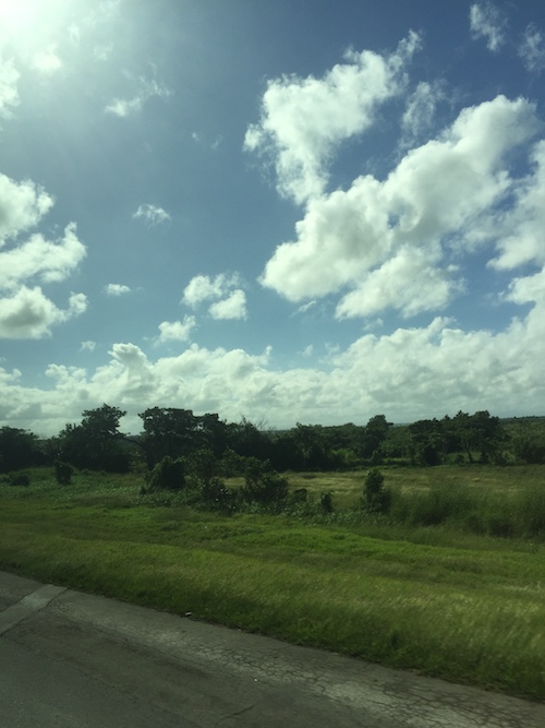 The green countryside in Cuba